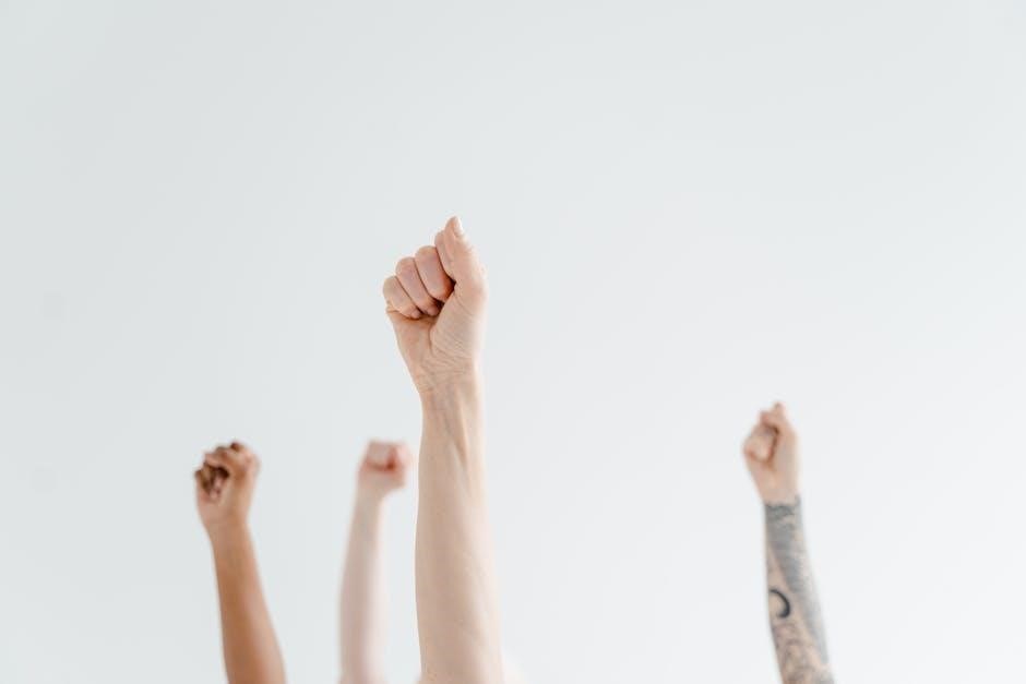 ideal independent c24 user manual