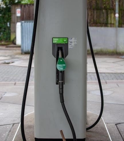 manual gas transfer pump